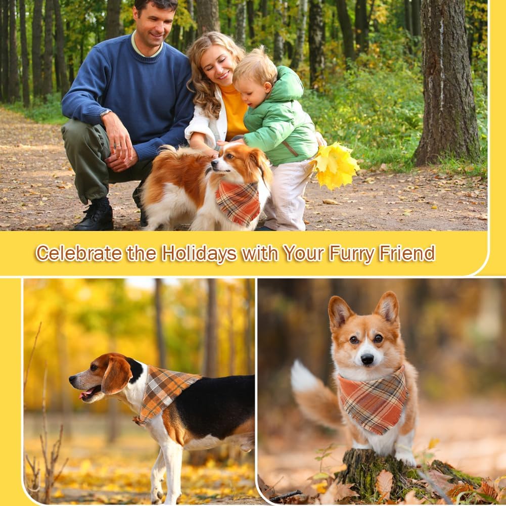 Family with a dog in a forest, with text 'Celebrate the Holidays with Your Furry Friend'.