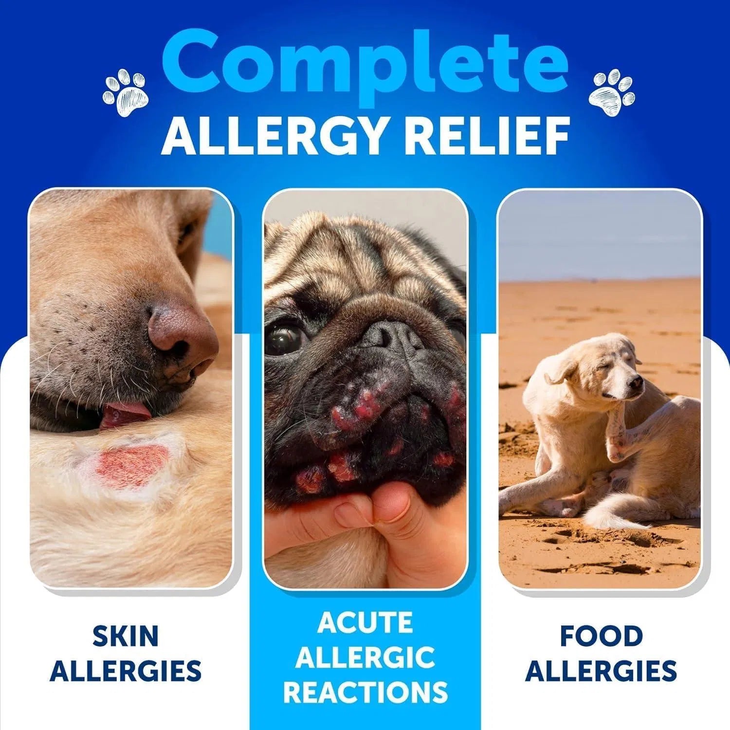 Dog Allergy Relief Chews Itching Skin Relief For Dogs